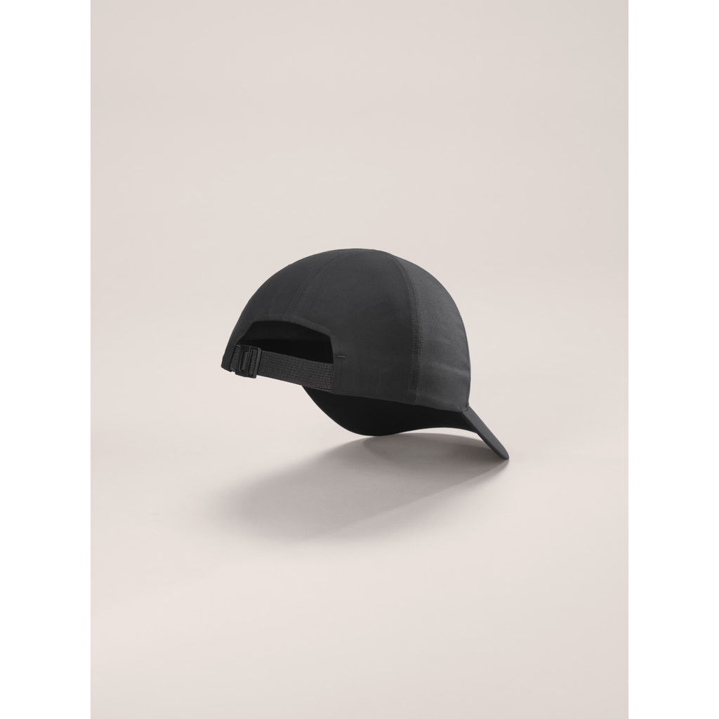 Arc'teryx Men's Bird Word Cap