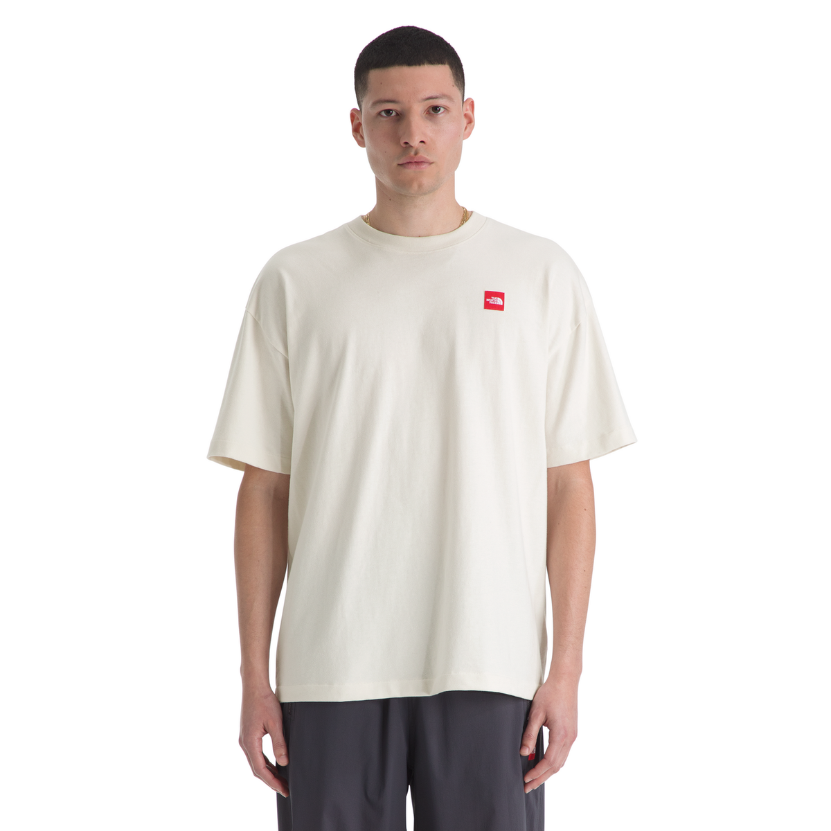 The North Face Men's Red Box Short-Sleeve Tee in White Dune